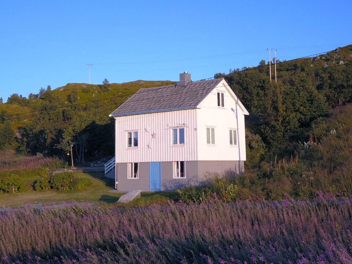 Steinbakk - Vestresand Lofoten Bostad Exterior foto