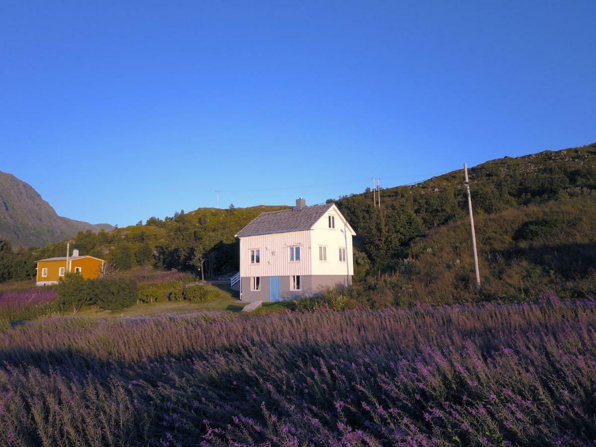 Steinbakk - Vestresand Lofoten Bostad Exterior foto